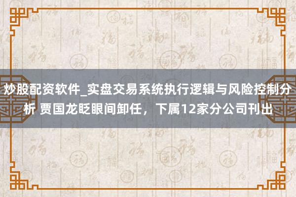 炒股配资软件_实盘交易系统执行逻辑与风险控制分析 贾国龙眨眼间卸任，下属12家分公司刊出