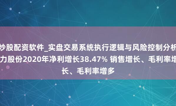 炒股配资软件_实盘交易系统执行逻辑与风险控制分析 同力股份2020年净利增长38.47% 销售增长、毛利率增多